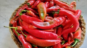 A women grass basket containing bright red fresh chili peppers