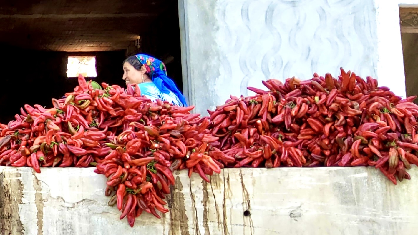 If Proust had been Tunisian, would the Madeleine have been harissa?